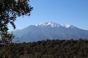 canigou_IMG_1013